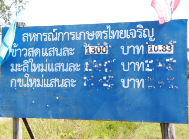 วันที่ 7 พฤศจิกายน 2566 ... Image 1